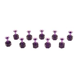 Ten purple Dent Reaper hexagonal 10 mm glue tabs arranged on a white background.