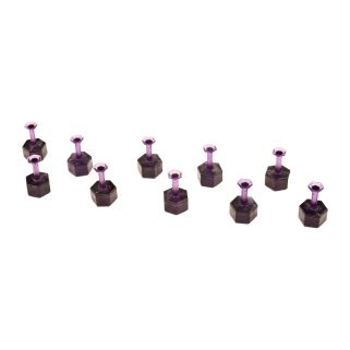 Ten purple Dent Reaper hexagonal 8 mm glue tabs arranged on a white background.
